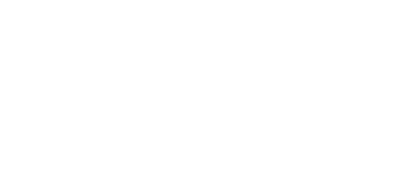 LocaleCash logo