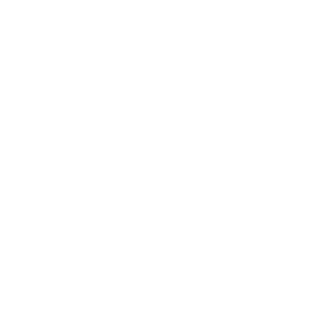 eCash Round Icon white