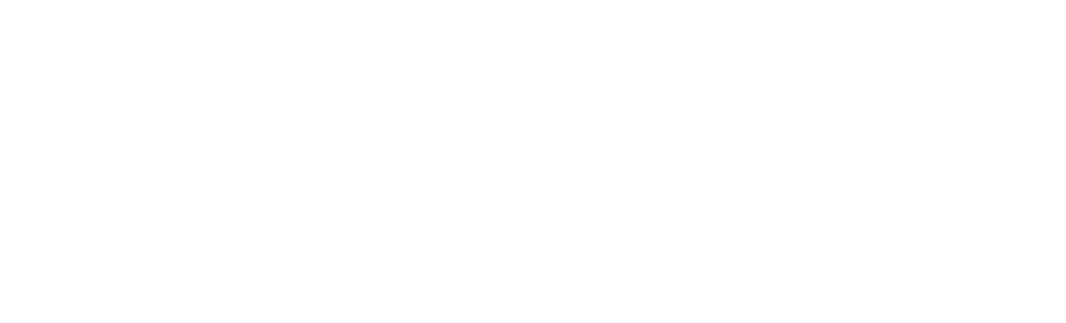 eCash Primary Horizontal white