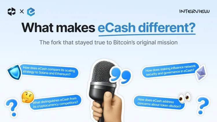 eCash Ecosystem is Set for Rapid Growth - An Interview with the Team