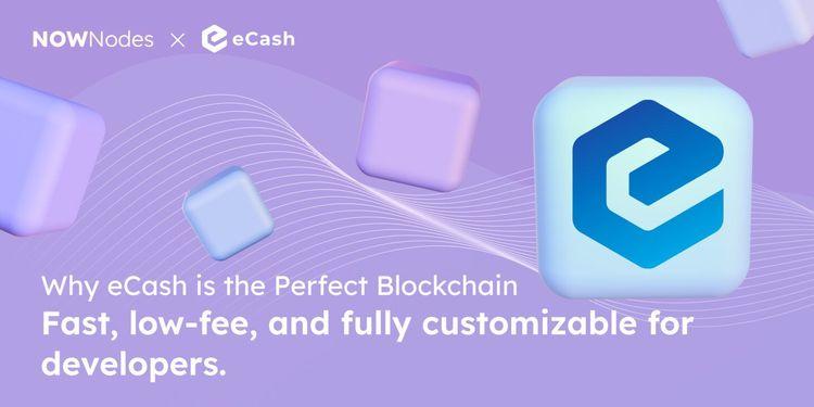 Why eCash is the Perfect Blockchain Platform for Developers