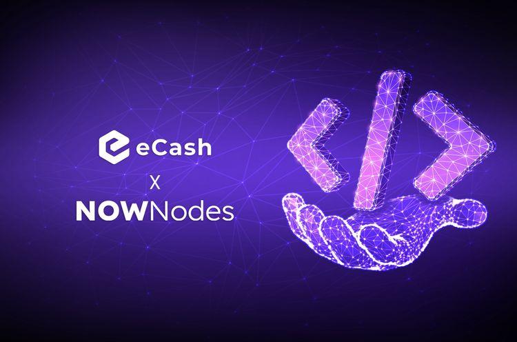 Track and Verify eCash Transactions Using NOWNodes
