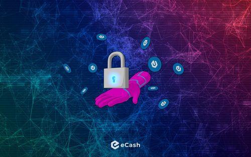 Opt-In Privacy: A CashFusion Guide for eCash