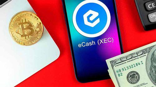 XEC Crypto Leads Market Gains as Investors Turn to eCash Network