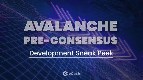 Avalanche Pre-Consensus Development Sneak Peek