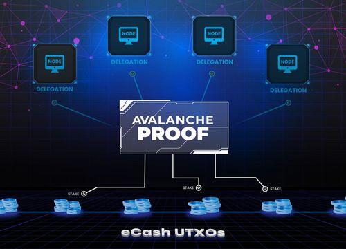 Technical Overview of Avalanche Proofs and Proof Delegations
